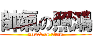帥氣の照鴻 (attack on titan)