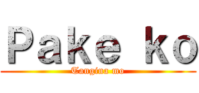 Ｐａｋｅ ｋｏ (Tangina mo)