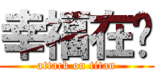 幸福在哪 (attack on titan)