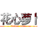 花心萝卜 (flower more)