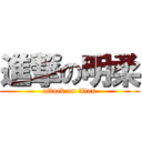 進撃の明柔 (attack on titan)