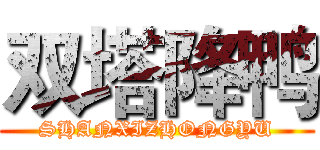 双塔降鸭 (SHANXIZHONGYU)