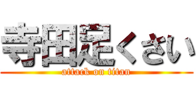 寺田足くさい (attack on titan)