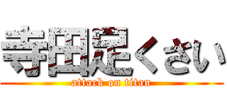 寺田足くさい (attack on titan)