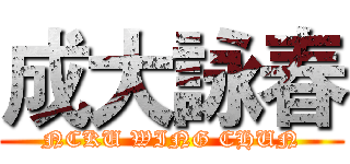 成大詠春 (NCKU WING CHUN)