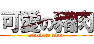 可愛の豬肉 (attack on titan)