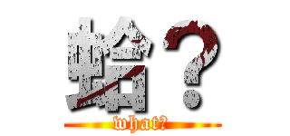 蛤？ (what?)