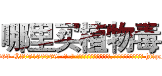 哪里买植物毒 (哪里买植物毒【电-186x2687x6963-Q278180069元-吉-药-业】我们做的是长期生意,靠的是老客户长期支持 http://sngk.net/qyCbuH
)