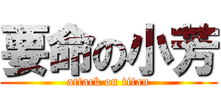 要命の小芳 (attack on titan)