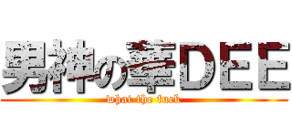 男神の華ＤＥＥ (what the fuck)