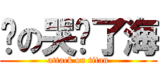 她の哭蓝了海 (attack on titan)