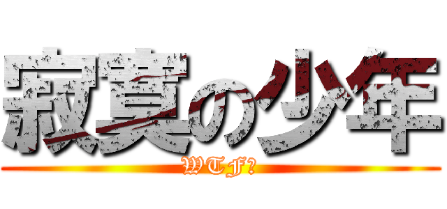 寂寞の少年 (WTF?)