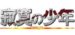 寂寞の少年 (WTF?)