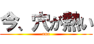 今、穴が熱い (ana)