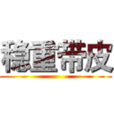 稳重带皮 ()