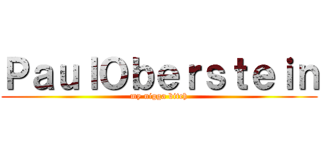ＰａｕｌＯｂｅｒｓｔｅｉｎ (my nigga bitch)