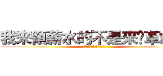我來領薪水的不是來搞革命的 (少在那邊五四三 看多了啦!!)