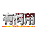 有何用 (Ci Ci Ma)