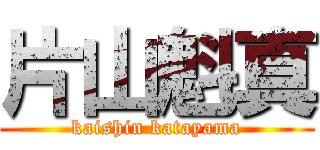 片山魁真 (kaishin katayama)