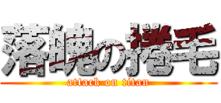 落魄の捲毛 (attack on titan)