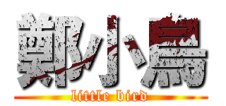 鄭小鳥 (little bird)