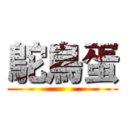 鴕鳥蛋 ()