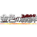 金色の鯱鉾 (gold color koiking)