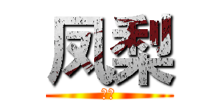 凤梨 (凤梨)