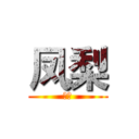 凤梨 (凤梨)