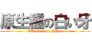 原生種の白い牙 (Tirano rider Haqua)