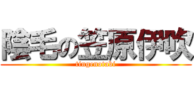 陰毛の笠原伊吹 (tingenotabi)