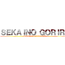 ＳＥＫＡＩＮＯ ＧＯＲＩＲＡ (SEKAINO GORIRA COC)