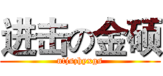 进击の金硕 (ntjszhyxgs)