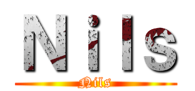 Ｎｉｌｓ (Nils)