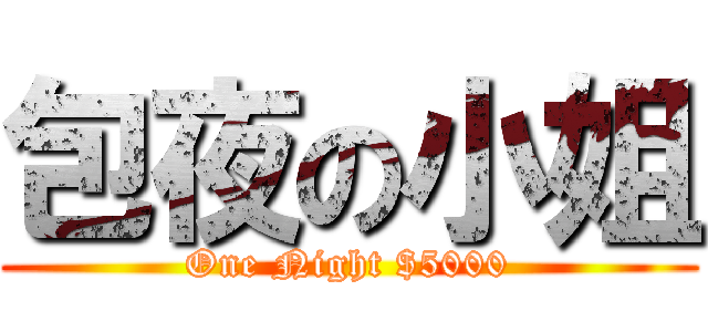 包夜の小姐 (One Night $5000)