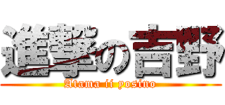 進撃の吉野 (Atama ii yosino)