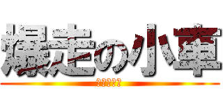 爆走の小車 (ミライース)