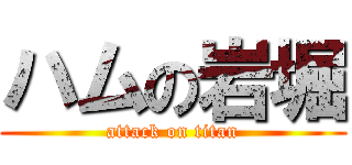 ハムの岩堀 (attack on titan)