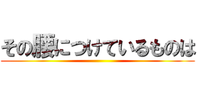 その腰につけているものは ()