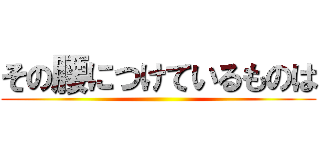 その腰につけているものは ()