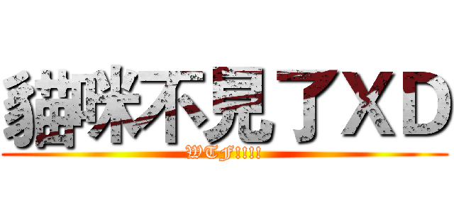 貓咪不見了ＸＤ (WTF!!!!)