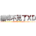 貓咪不見了ＸＤ (WTF!!!!)