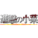 進擊の小菜 (attack on titan)