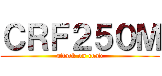 ＣＲＦ２５０Ｍ (attack on road)