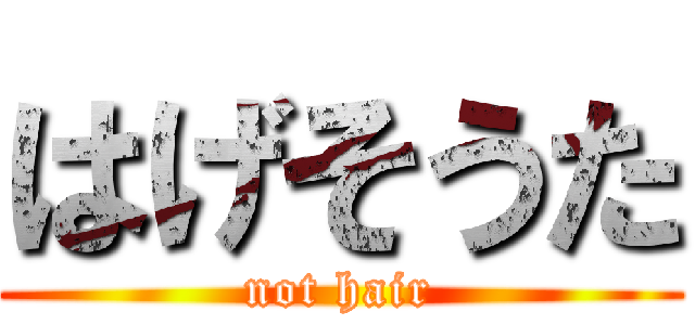 はげそうた (not hair)