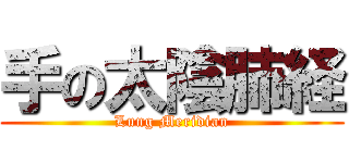 手の太陰肺経 (Lung Meridian)