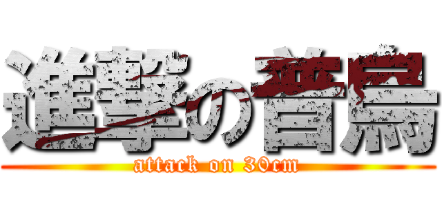 進撃の普烏 (attack on 30cm)
