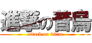 進撃の普烏 (attack on 30cm)