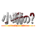 小晴の傻 (attack on titan)