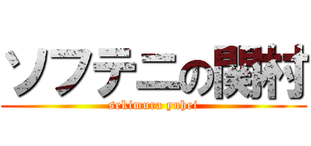 ソフテニの関村 (sekimura yuhei)